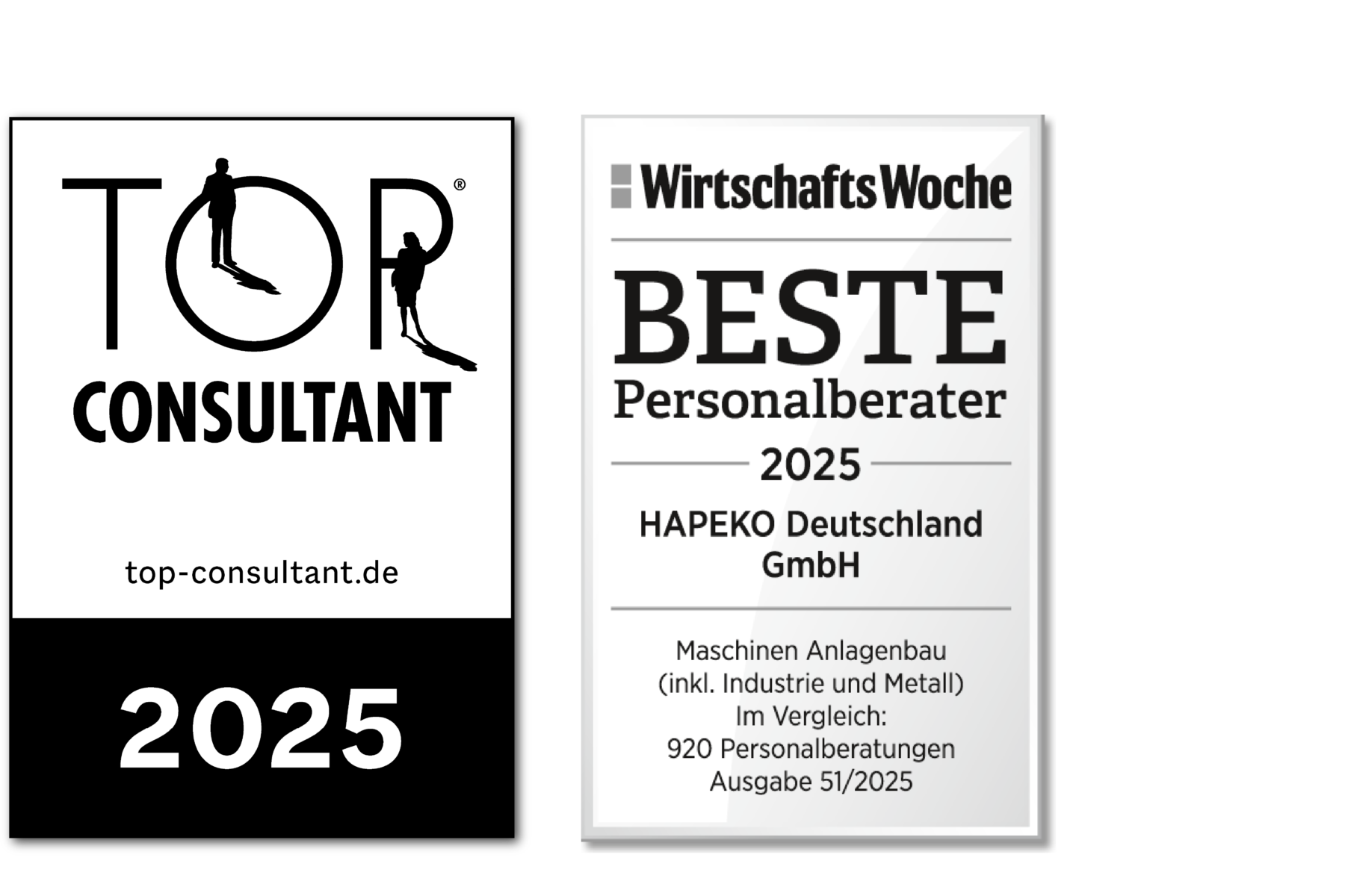 Siegel Top Consultant WiWo HAPEKO